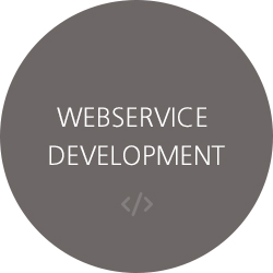 WebService  Development